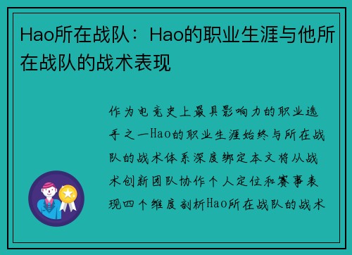 Hao所在战队：Hao的职业生涯与他所在战队的战术表现