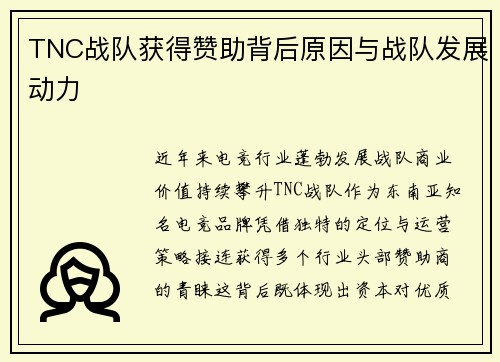 TNC战队获得赞助背后原因与战队发展动力