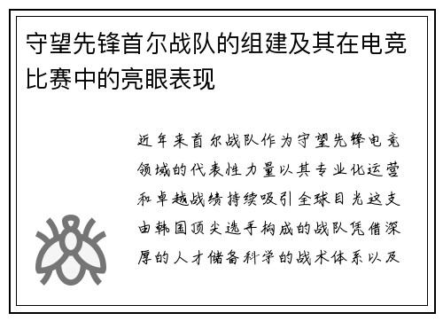 守望先锋首尔战队的组建及其在电竞比赛中的亮眼表现